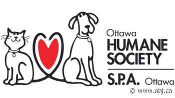 Ottawa Humane Society - Ottawa Business Journal