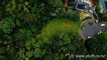 Reprieve for Kohimarama Forest gives conservationists a chance to buy - Stuff.co.nz