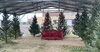 Come Visit Santa TONIGHT At The Christmas Tree Forest in Downtown Texarkana | Texarkana Today - TXK Today