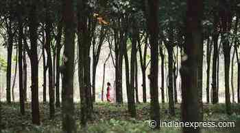 Karnataka tops chart of maximum forest area under encroachment - The Indian Express