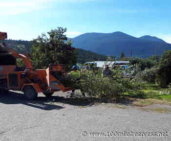 Clinton Community Forest finds new uses for woody fibre - 100 Mile House Free Press