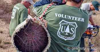 Play Hookie, Get Dirty, Do Good: Volunteer With the National Forest Foundation - GearJunkie