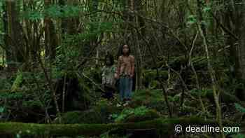 Japanese Horror ‘Suicide Forest Village’, From ‘The Grudge’ Director, Lands North America Deal - Deadline
