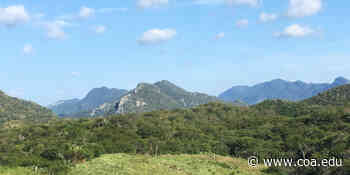 Climate benefits of forest restoration revealed · College of the Atlantic - College of the Atlantic