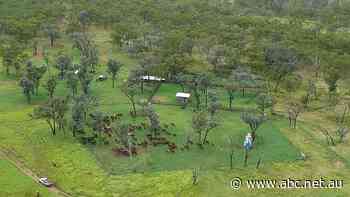 Warning as government announces new biodiversity trading platform