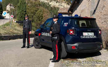 Prof uccisa nel Bolognese, in fermo il vicino - 24Emilia