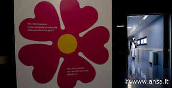 Maltempo: a Fermo e Ancona stop Parliamone insieme su Covid - Agenzia ANSA