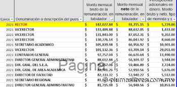 Un rector Virrey - plumas libres