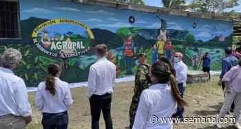 Histórico: entregan 36 zonas libres de minas antipersonal en Puerto Asís - Revista Semana