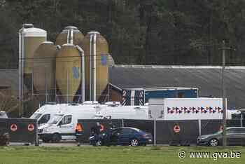 Hoofdverdachte putdekselmoord stap dichter bij assisen: parket vraagt geen vervolging zoon - Gazet van Antwerpen