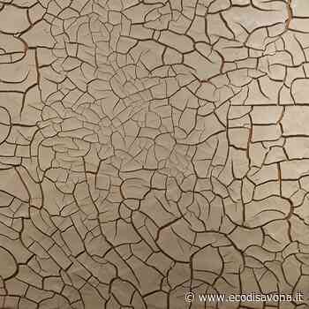 Dalla Riviera ad Alba per la mostra dedicata a Burri - L'Eco - il giornale di Savona e Provincia