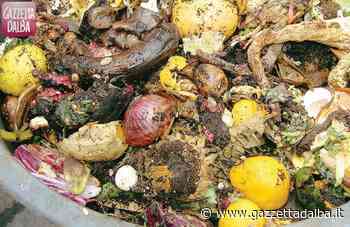 Alba: se fai il compostatore la tassa sui rifiuti si può tagliare - http://gazzettadalba.it/