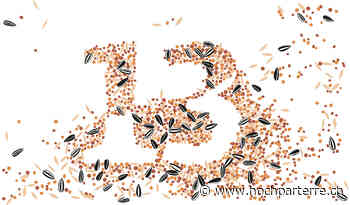 In eigener Sache - Landschafts­architektur für Daheim - Hochparterre.ch – News in Architektur, Planung und Design