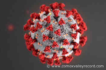 Latest COVID exposures at Comox Valley schools include one at a Christmas bake sale - Comox Valley Record