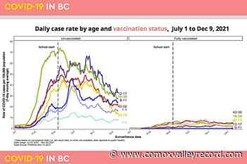 Vaccine effectiveness confirmed in latest BC COVID-19 data – Comox Valley Record - Comox Valley Record