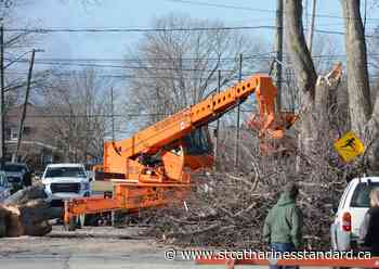 Power gradually returns to Port Colborne after wind storm - StCatharinesStandard.ca
