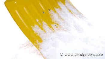 Snow Brigade digs in to help neighbors in St. Clair Shores - C&G Newspapers