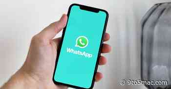 WhatsApp bug is making the app crash for many iPhone users