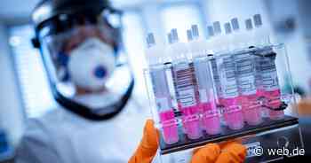 Corona-News im Ticker: Erstes Bundesland bietet Boosterimpfung schon nach vier Wochen an - WEB.DE News