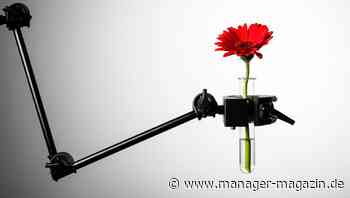 Corona: Wie Moderna der Impfstoff-Erfolg gelang