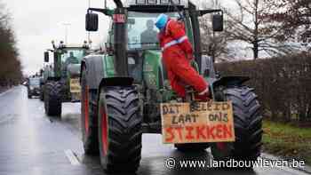 Varkensboeren trekken woensdag met tractoren naar Brussel - Landbouwleven