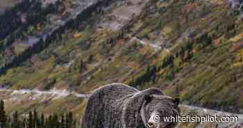 Chuck Haney's photo show benefits food bank - whitefishpilot.com