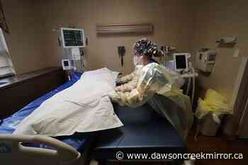 US COVID death toll hits 800000, a year into vaccine drive - Dawson Creek Mirror