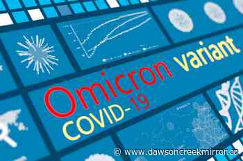 How is Canada's economy faring since start of pandemic? - Dawson Creek Mirror