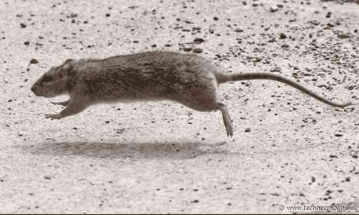 US Mega-Corporations Rush to Abandon Illegal Vax Mandates