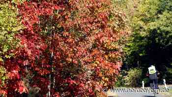 Landkreis ERH: So müssen die Radwege ausgebaut werden - Nordbayern.de