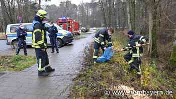 Verdächtige Haufen in Erlangen: Gefahrgutzug der Feuerwehr rückte an - Nordbayern.de