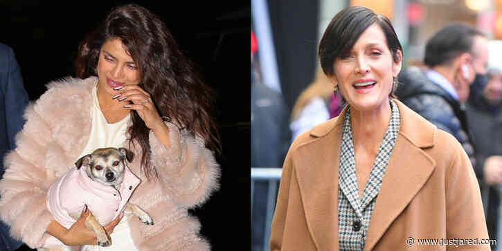 Priyanka Chopra & Carrie-Anne Moss Promote 'Matrix Resurrections' Around NYC