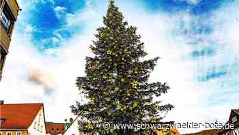 Wie der schiefe Turm von Pisa: Ganz schön schräg – Nagolds Weihnachtsbaum
