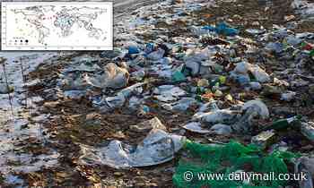 Microbes in oceans and soils are evolving to eat plastic, study reveals