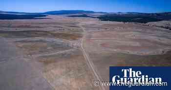 Company part-owned by Angus Taylor illegally poisoned grasslands, ministerial review finds - The Guardian
