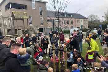 Vosselaarse kindjes planten eigen geboorteboom (Vosselaar) - Gazet van Antwerpen Mobile - gva.be