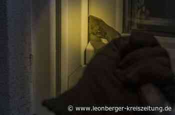 Bargeld gestohlen - Unbekannte brechen in Teststation ein - Leonberger Kreiszeitung