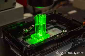 Scientists Create “Time Machine” Made of Human Cells To Reverse Pancreatic Cancer Progression