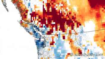 Soggy Autumn in the Pacific Northwest – Saturated Soil Across Western Washington and Southern British Columbia