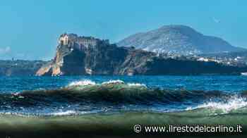 Capitale della Cultura: Parma e Procida gemellaggio tra mozzarelle di bufala e parmigiano - Il Resto del Carlino