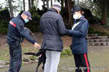Parma, spacciatore bloccato dai Carabinieri mentre tenta la fuga - Luca Galvani