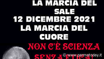 la marcia del cuore di parma come la marcia del sale di gandhi. - ParmaToday
