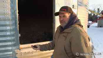 Prairie drought drives Canada's canola, wheat production down more than 35%: StatsCan