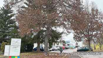 Schule in Ebhausen: Noch kein Beschluss  zum Außenbereich