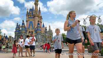 Disney World Fire May Have Sprung From Fireworks Debris