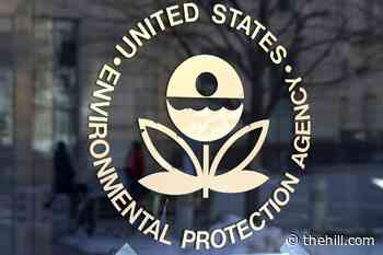 Environmental groups call on EPA to take stronger action on reports of falsified chemical safety assessments