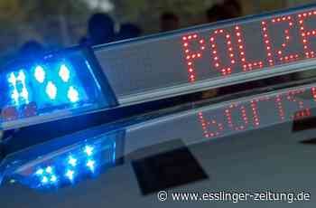 Fahrzeugbrand in Reichenbach - Mercedes komplett ausgebrannt - esslinger-zeitung.de