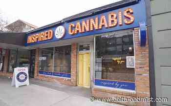 Delta cannabis dispensary gets preliminary approval - Delta-Optimist