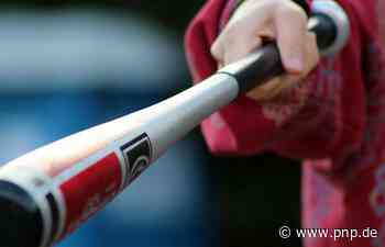 Osterhofener verprügelt ungebetene Gäste mit Baseballschläger - Plattling - Passauer Neue Presse