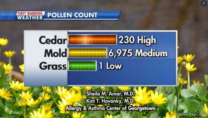 Bring out the tissues! First HIGH CEDAR pollen count of the season has arrived